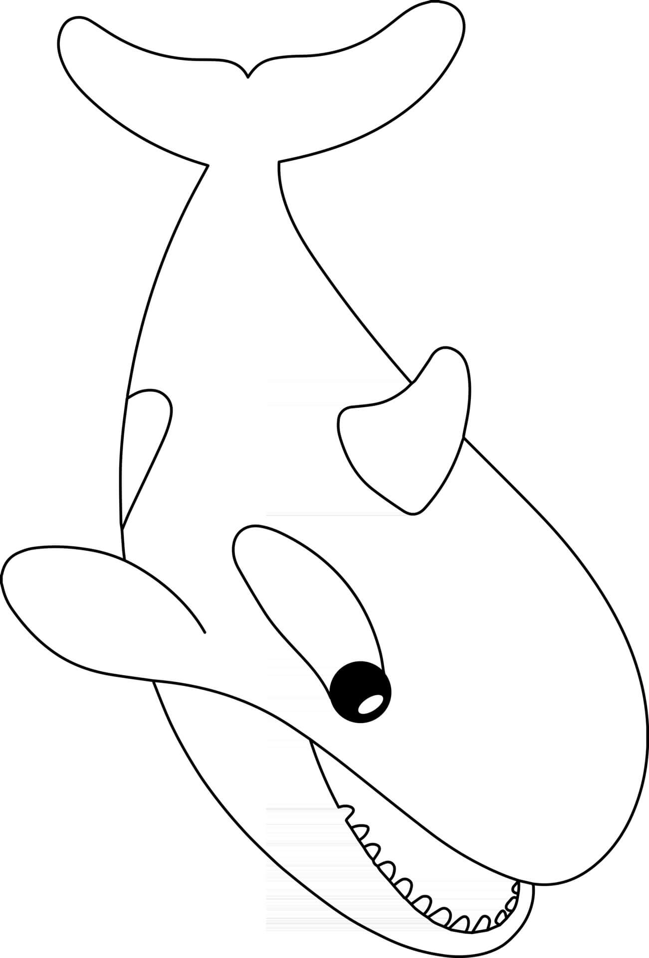 Coloriage Baleine Animal Marin - Baleine à imprimer