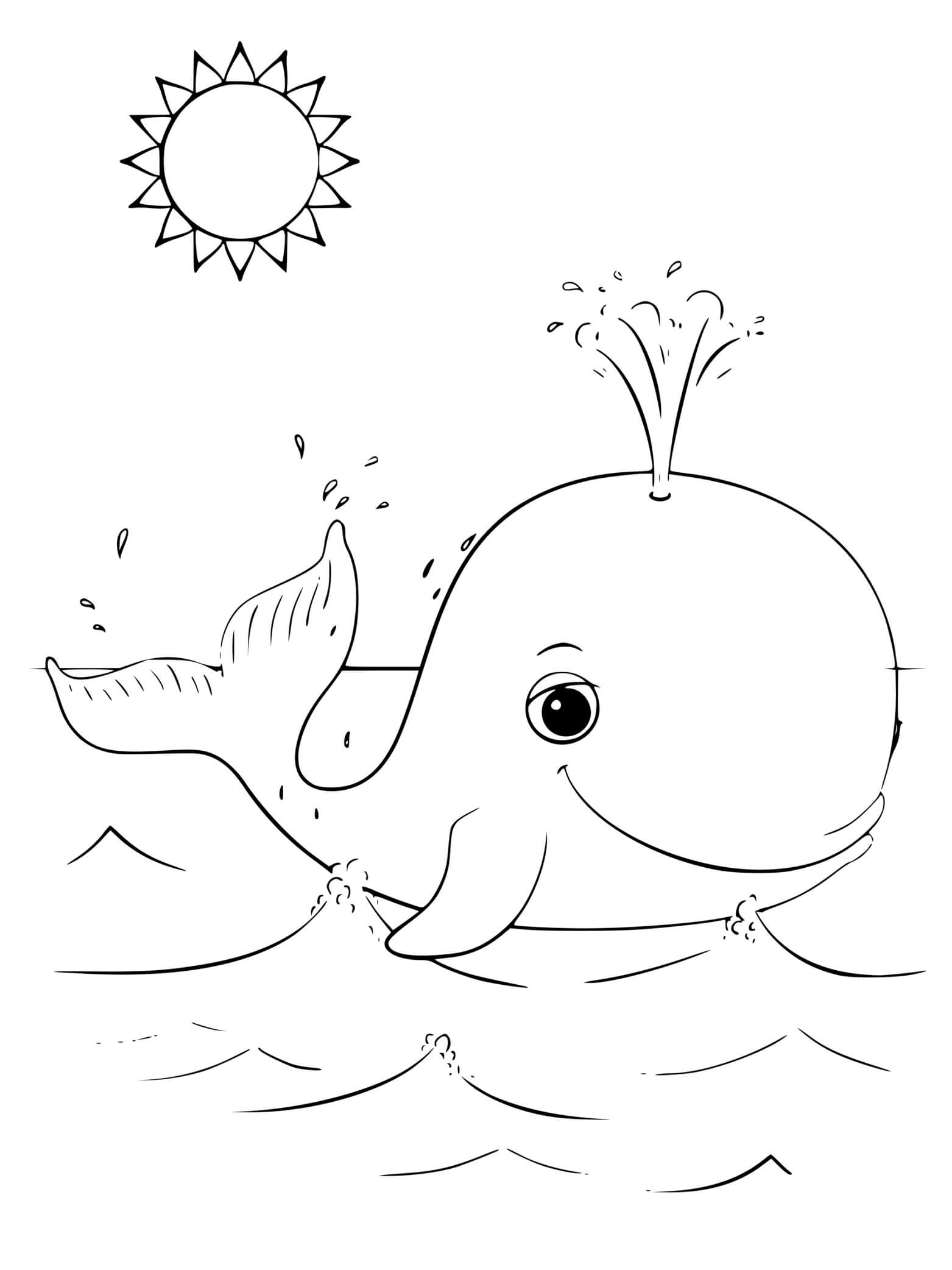 Coloriage Baleine Avec Un Joli Soleil - Baleine à imprimer