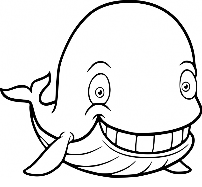 Coloriage Baleine Bleue - Animaux de la mer à imprimer