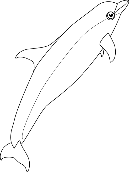 Coloriage Baleine Bottlenose - Poisson à imprimer