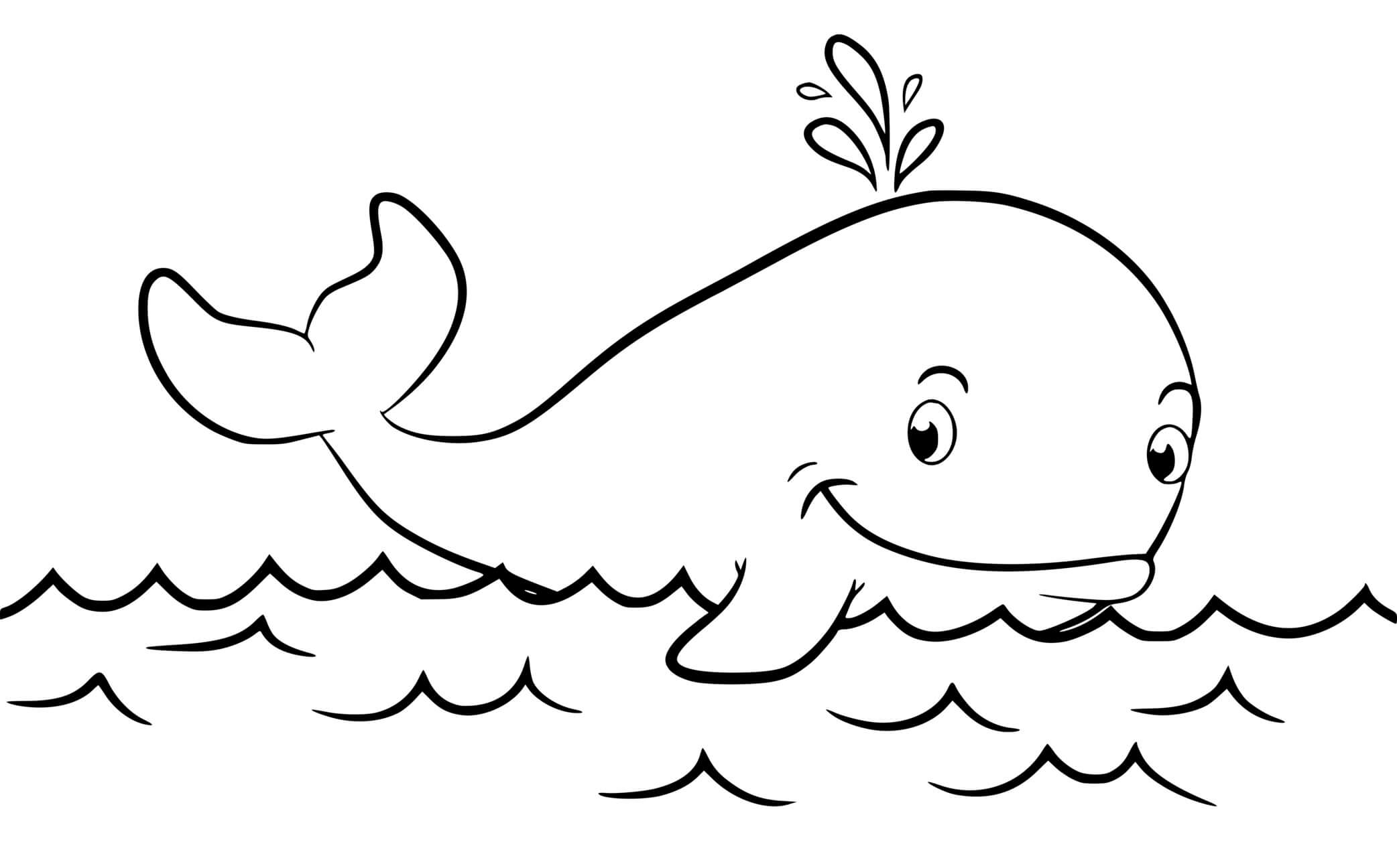 Coloriage Baleine De Cuvier Sur La Mer Eau Animal Marin - Baleine à imprimer