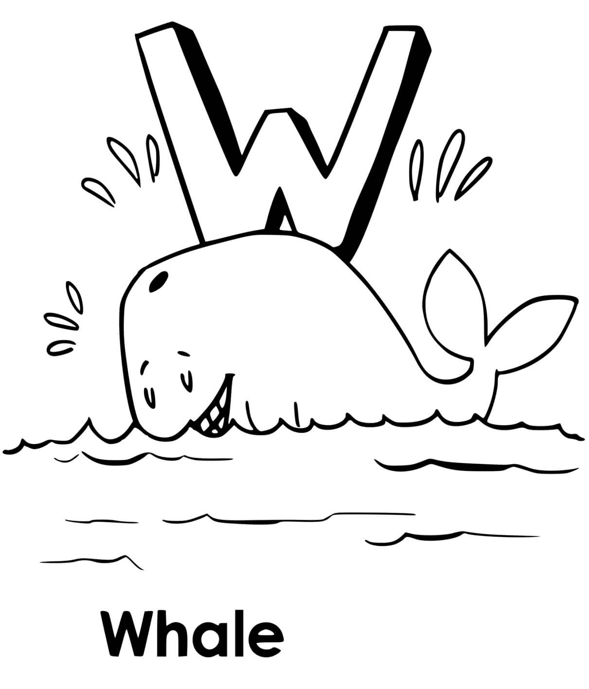 Coloriage Baleine En Anglais Whale - Baleine à imprimer
