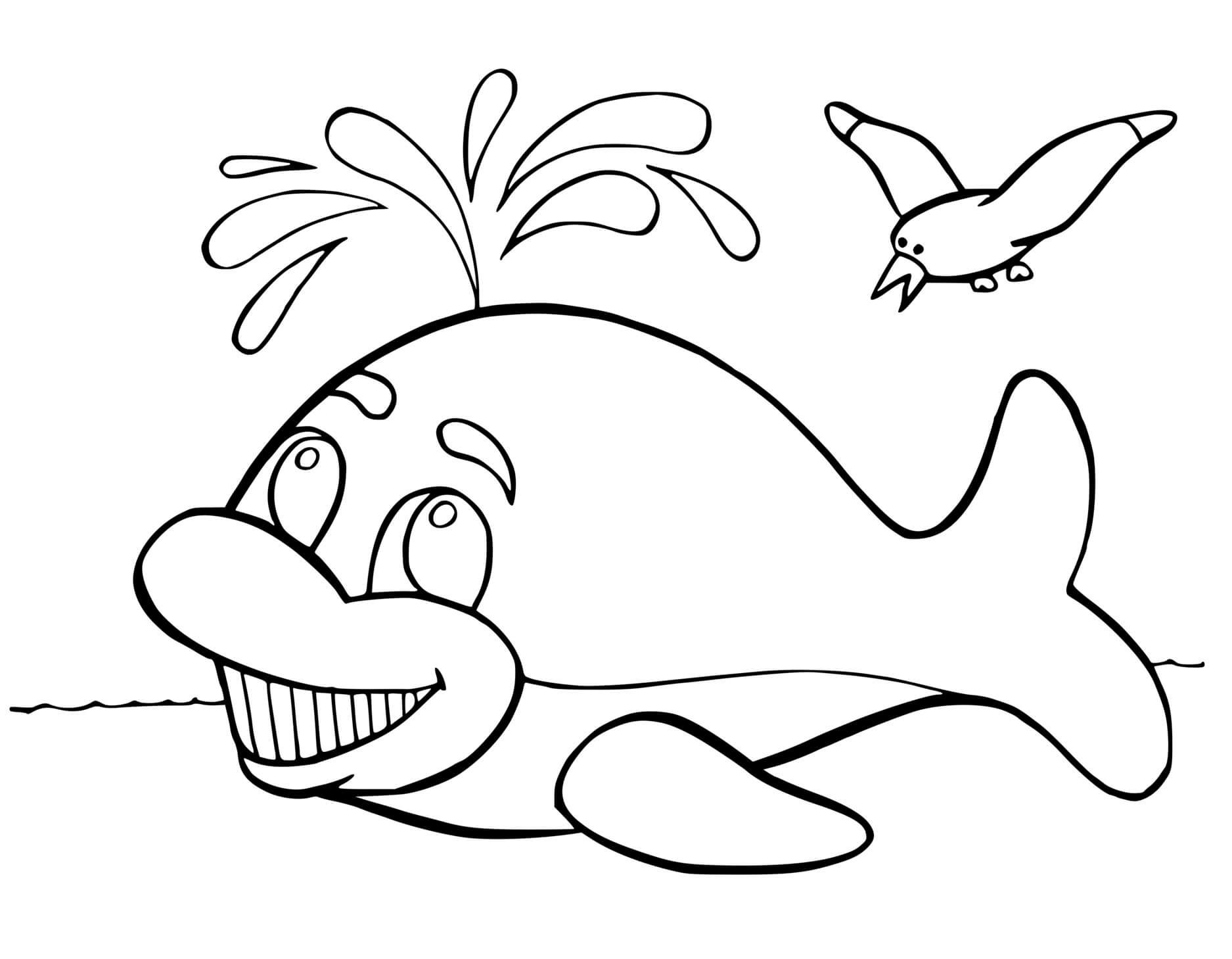 Coloriage Baleine Franche Atlantique Avec Des Oiseaux - Baleine à imprimer