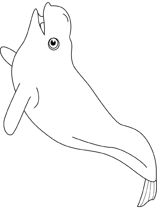 Coloriage Baleine Grand Esturgeon - Poisson à imprimer