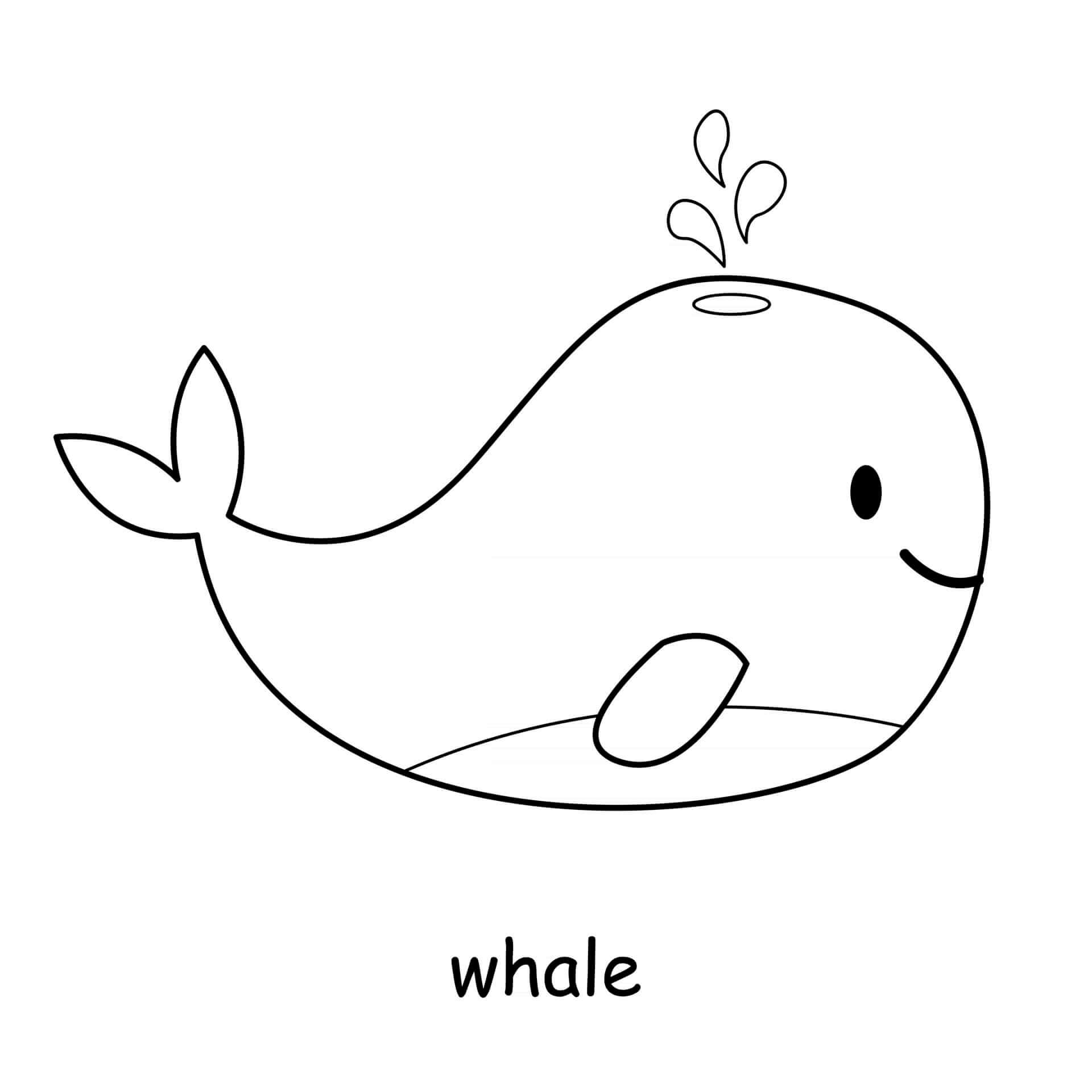 Coloriage Baleine Mammifère Marin - Animal à imprimer