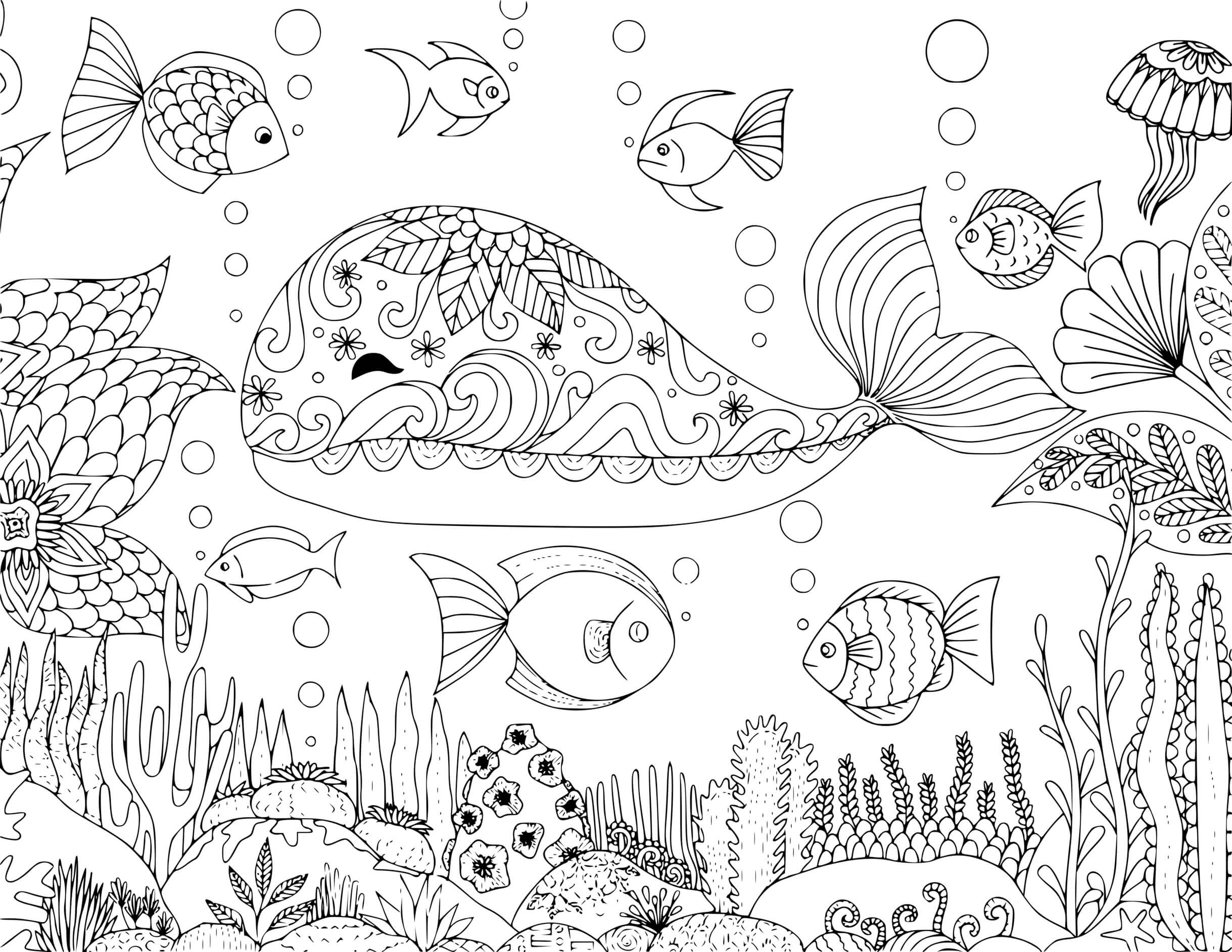 Coloriage Baleine Mandala Adulte Zentangle - Baleine à imprimer