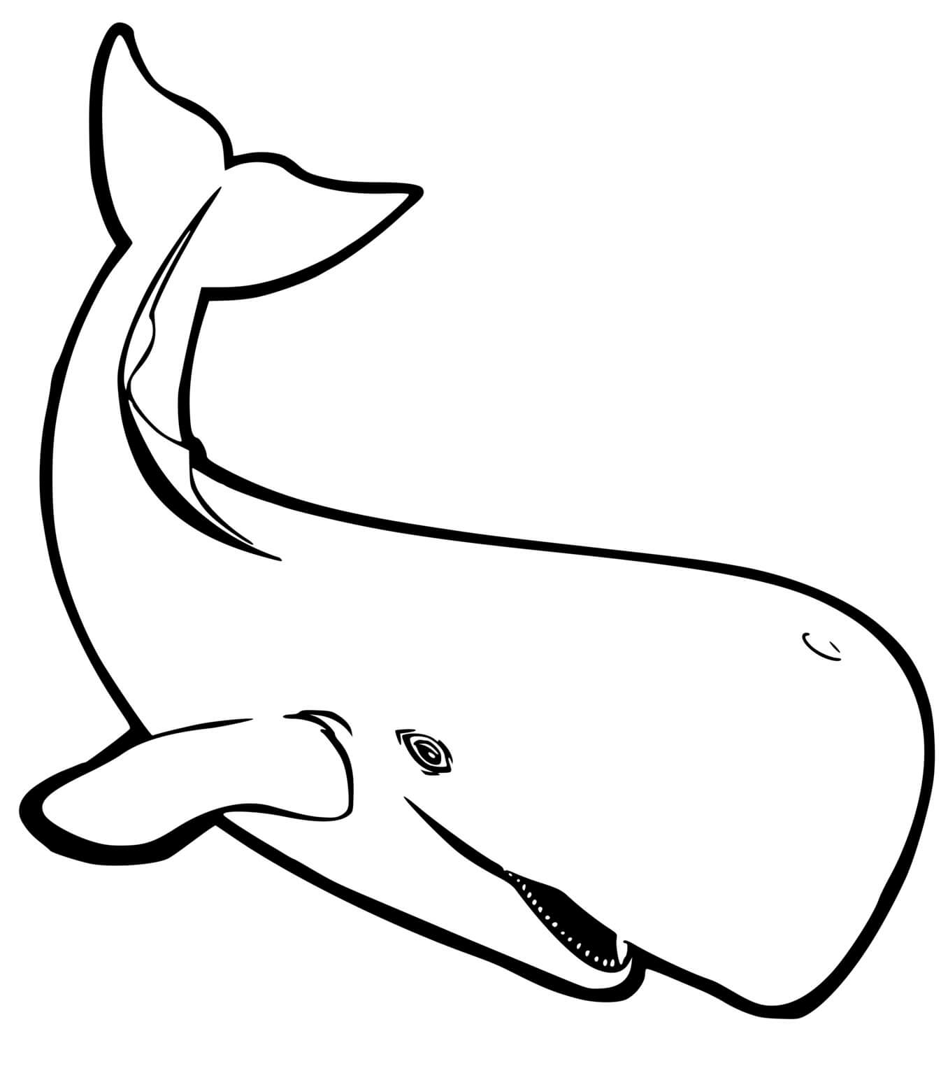 Coloriage Baleine Réaliste Franche Australe - Baleine à imprimer