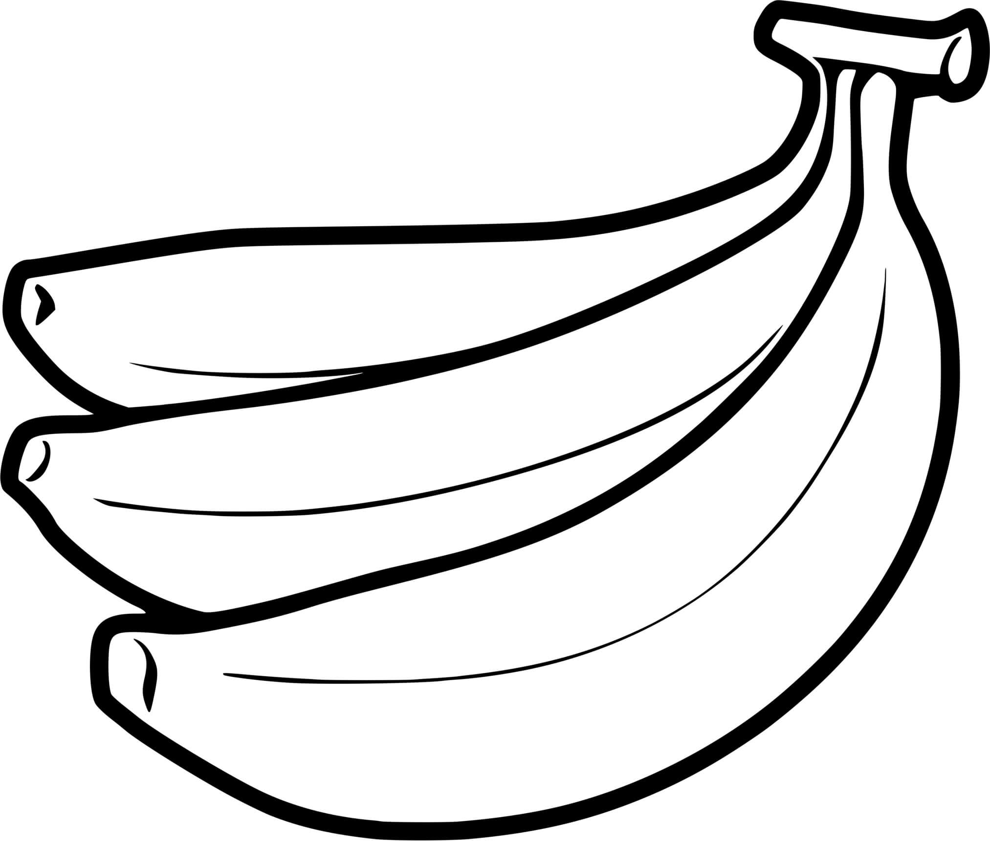 Coloriage Banane Fruit Du Babanier - Banane à imprimer