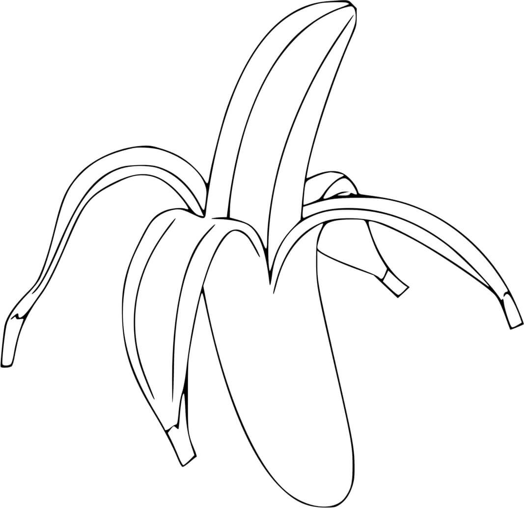 Coloriage Banane Fruits Des Bananiers - Banane à imprimer