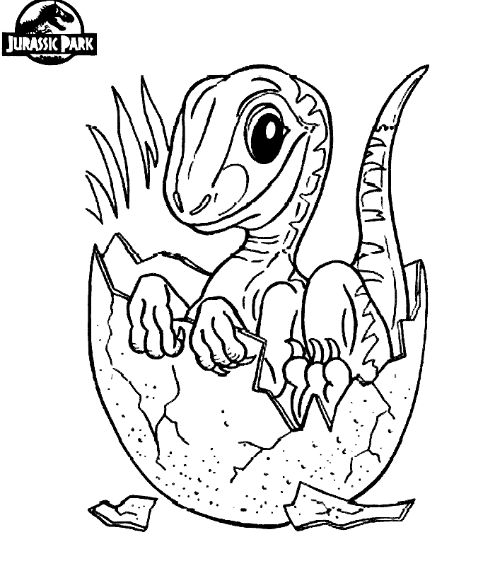 Coloriage Bébé Œuf Jurassic Park Enfant - Jurassic world park à imprimer