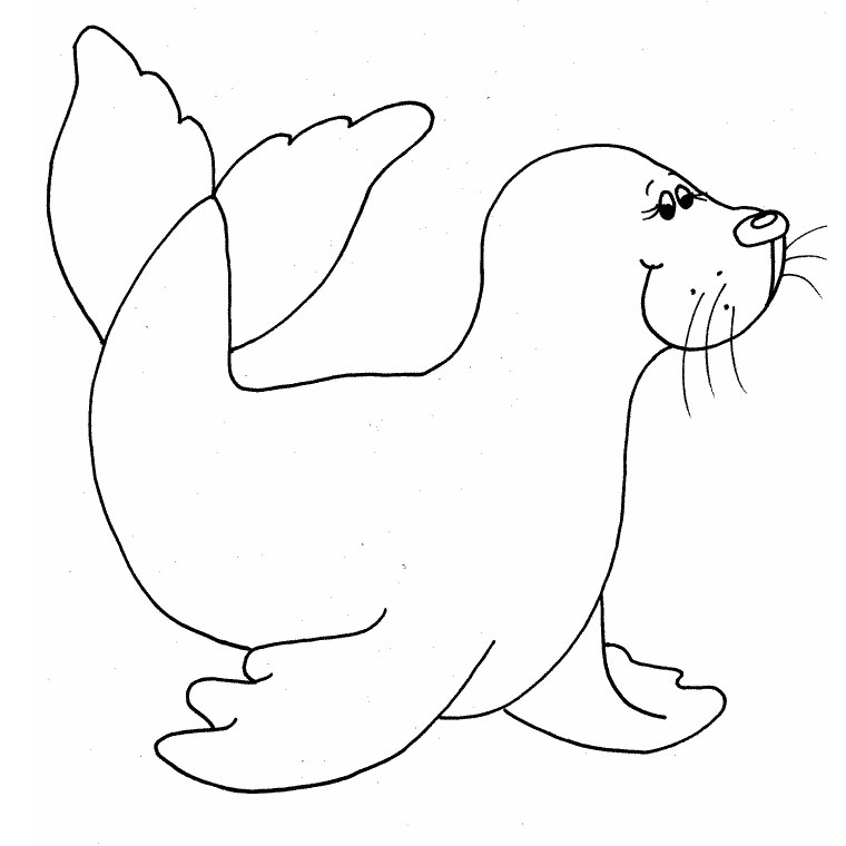 Coloriage Bébé Phoque - Animaux à imprimer