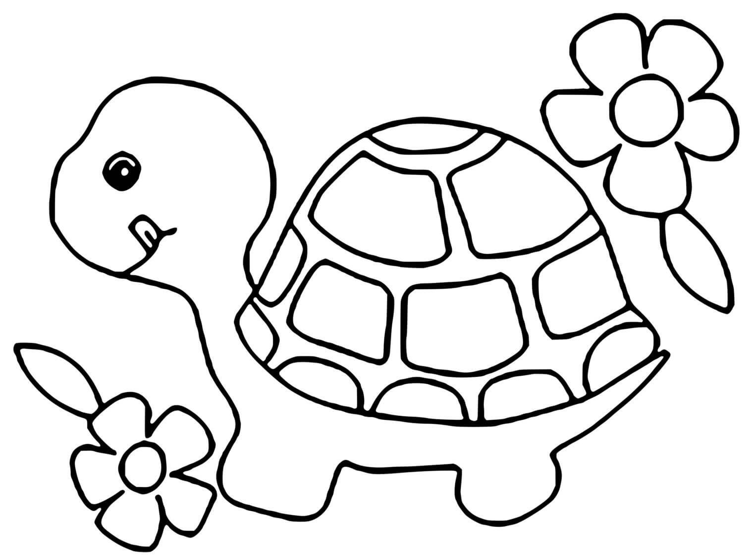 Coloriage Bébé Tortue Avec Des Fleurs - Tortue à imprimer