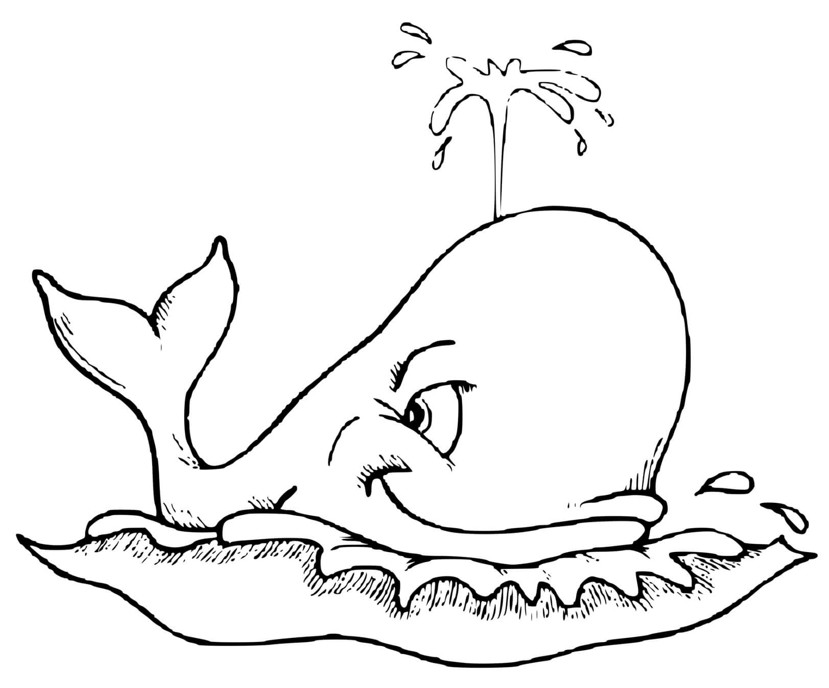 Coloriage Beluga - Baleine à imprimer