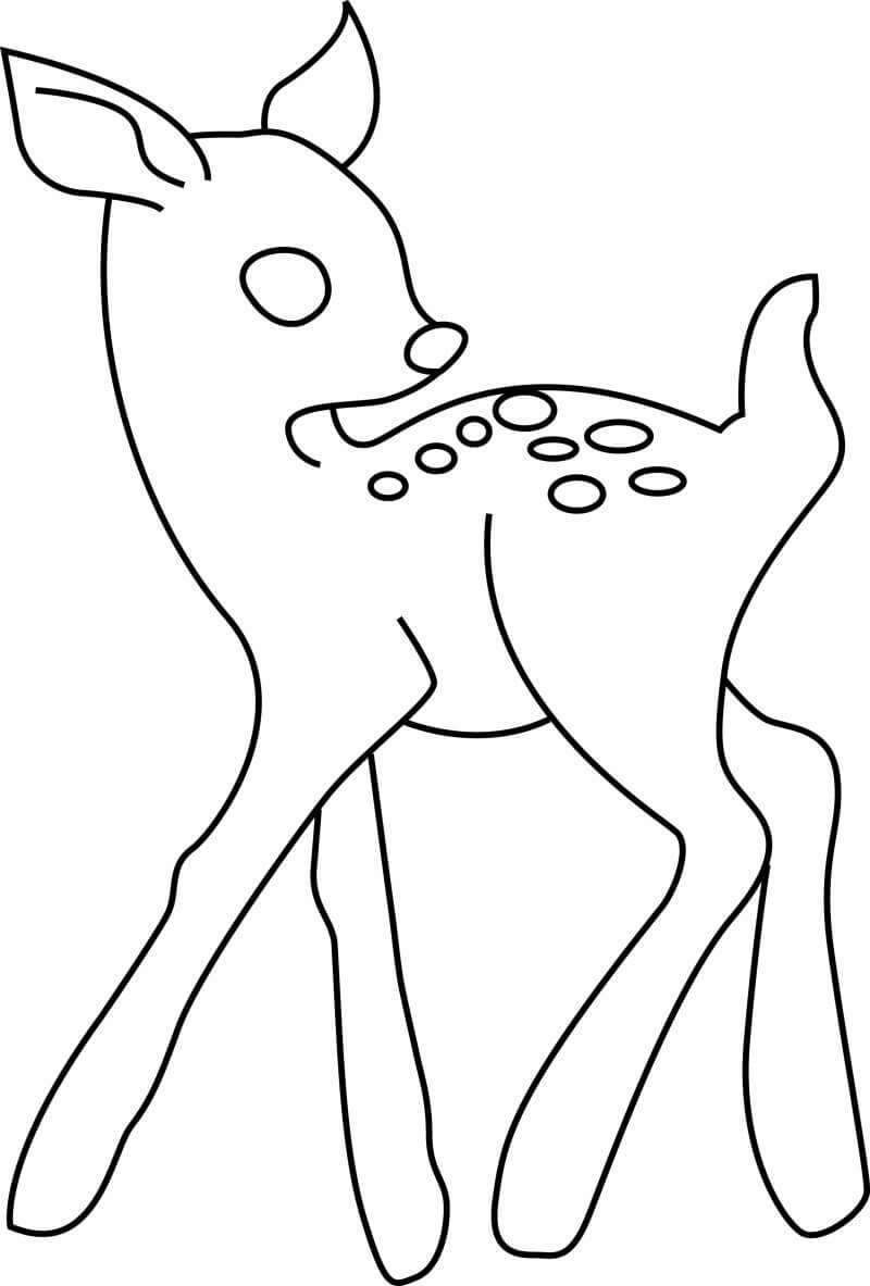 Coloriage Biche Bébé Cerf - Cerf biche faon à imprimer