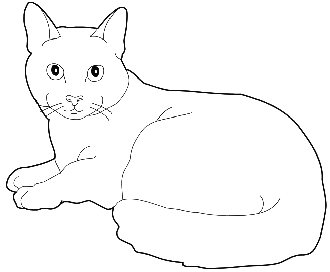 Coloriage Bleu Russe Chat Maltais - Chat à imprimer