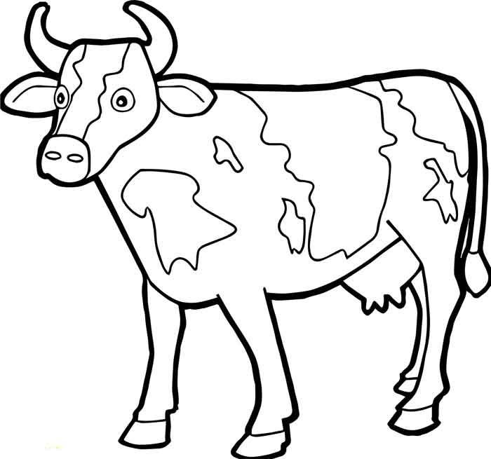 Coloriage Boeuf - Vache à imprimer