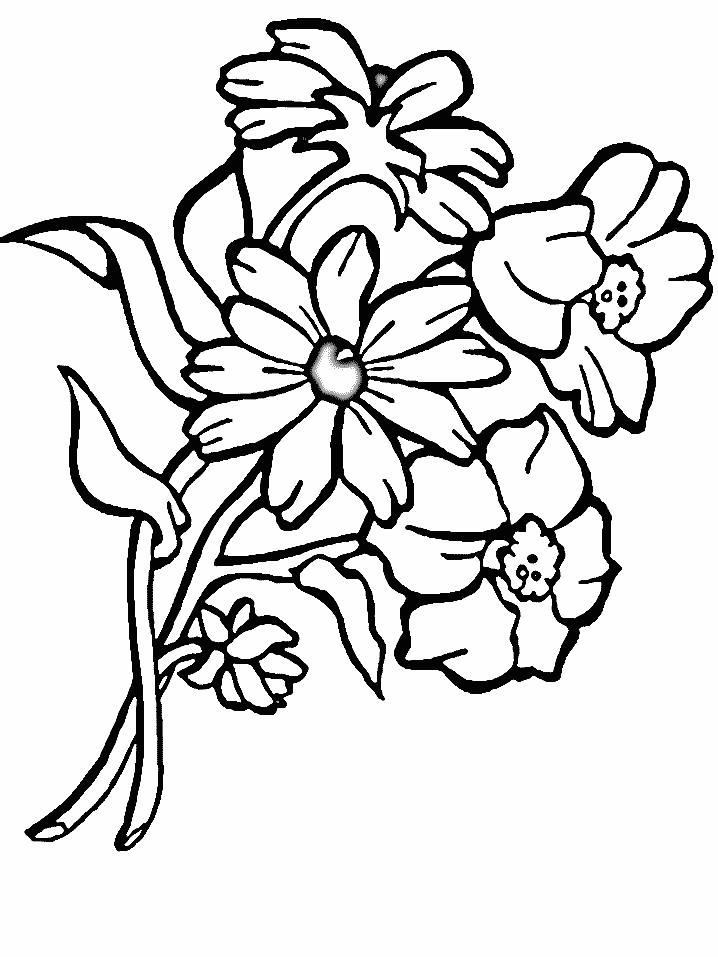 Coloriage Bouquet De Fleurs Sauvages - Fleurs à imprimer