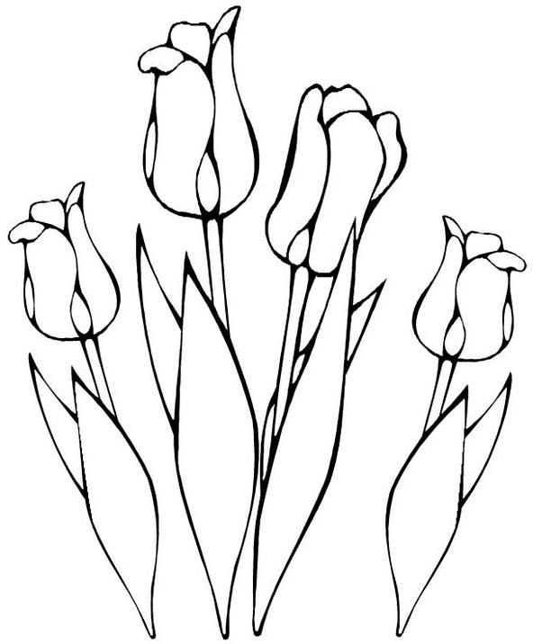 Coloriage Bouquet De Tulipes - Fleurs à imprimer