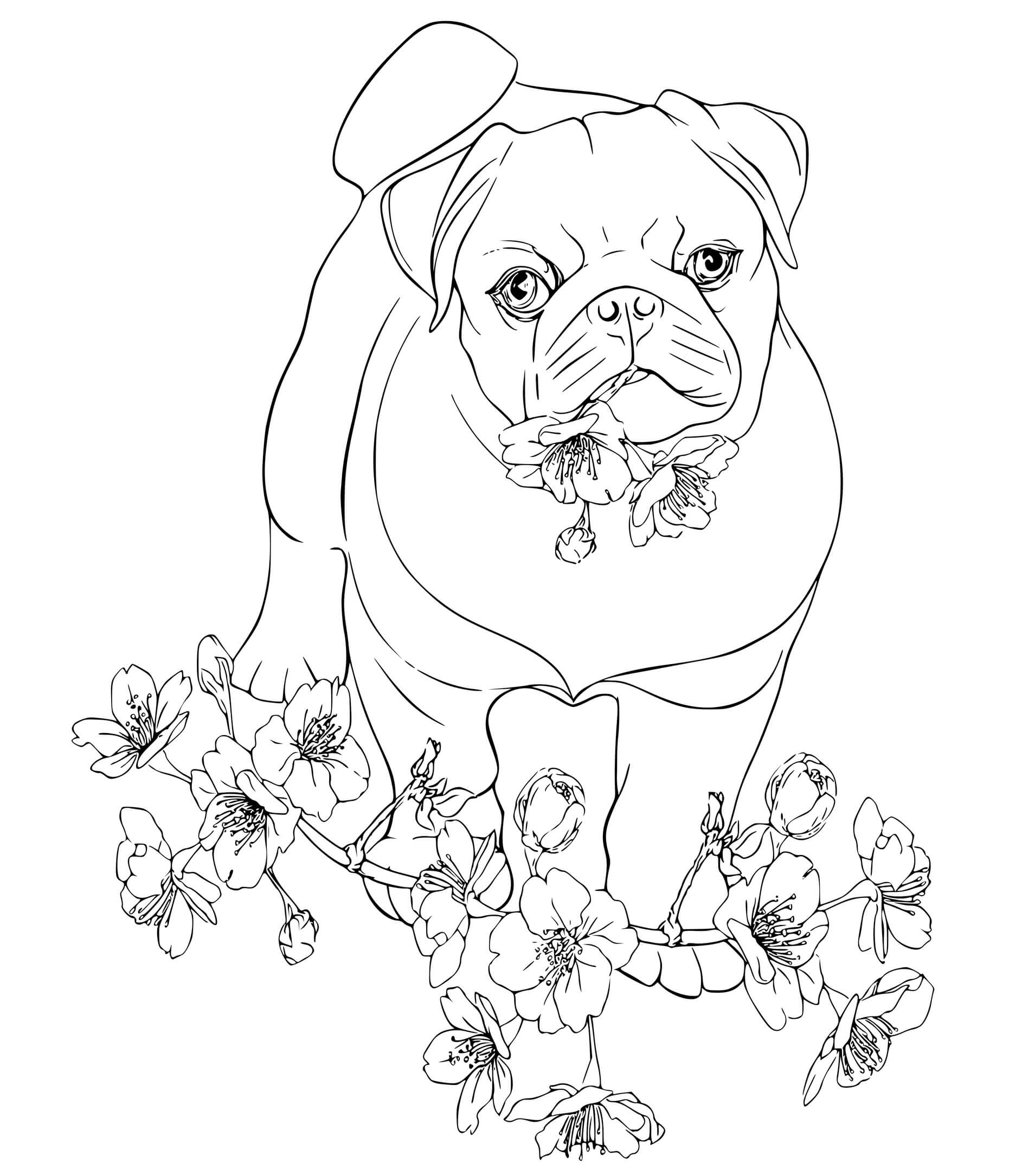 Coloriage Bulldog Anglais Compagnon Doux Et Gentil - Chien à imprimer