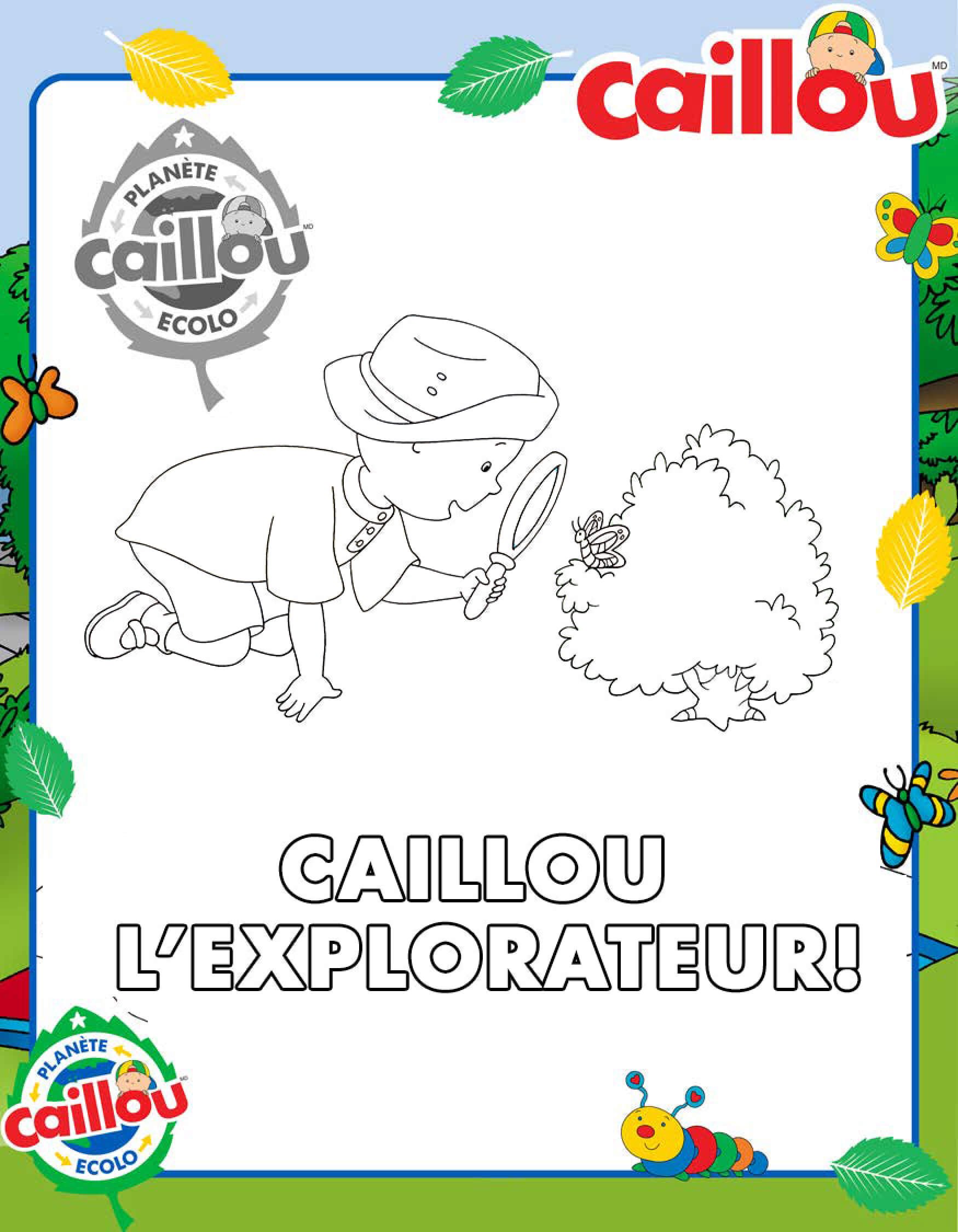 Coloriage Caillou Explorateur Animaux Et Insectes - Caillou à imprimer