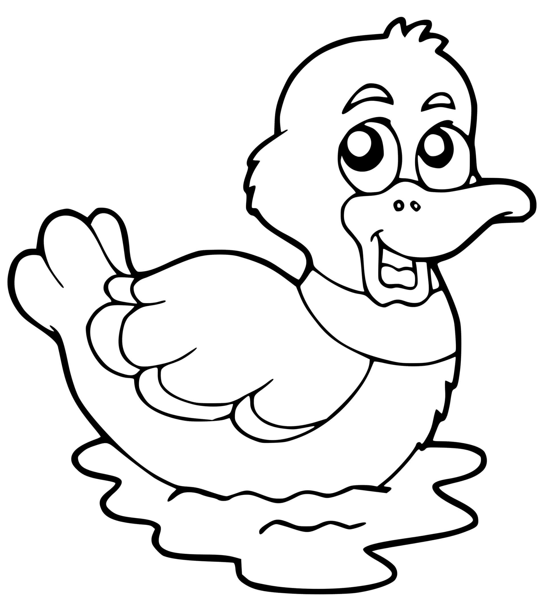 Coloriage Canard Enfants - Canard à imprimer