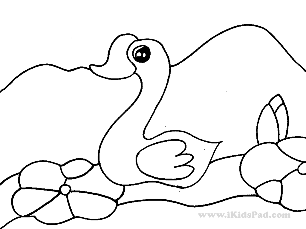 Coloriage Canard Facile 16 - Facile à imprimer