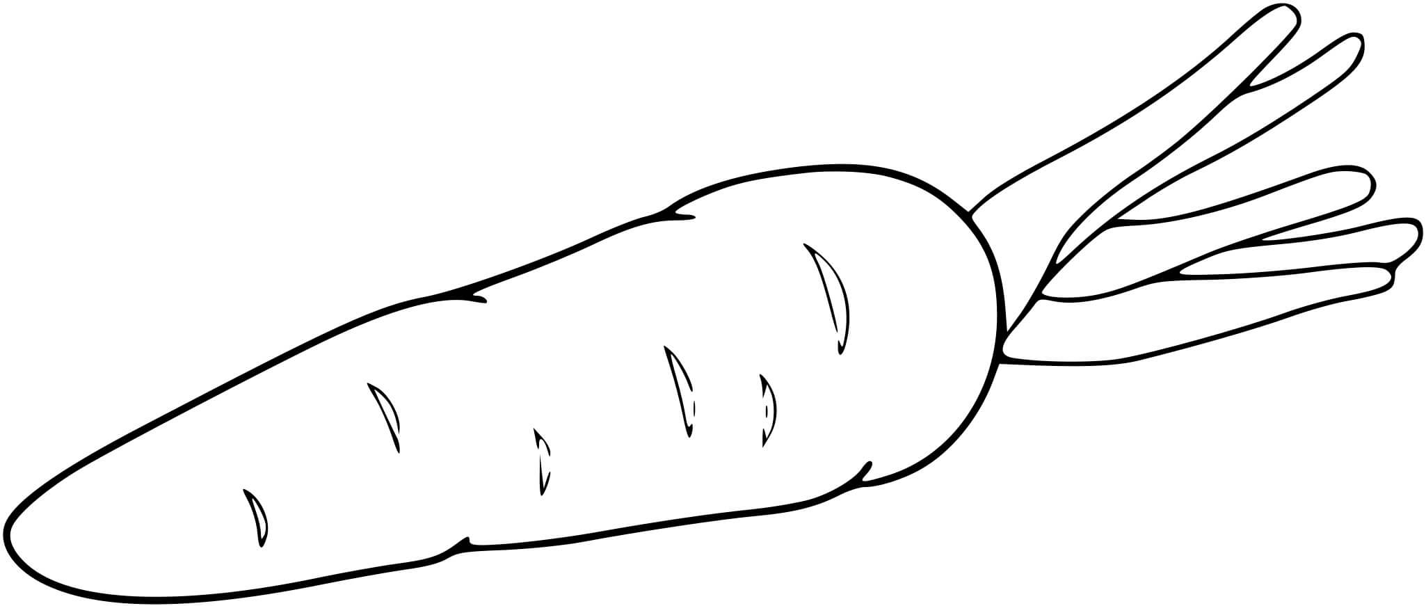 Coloriage Carotte Simple - Carotte à imprimer