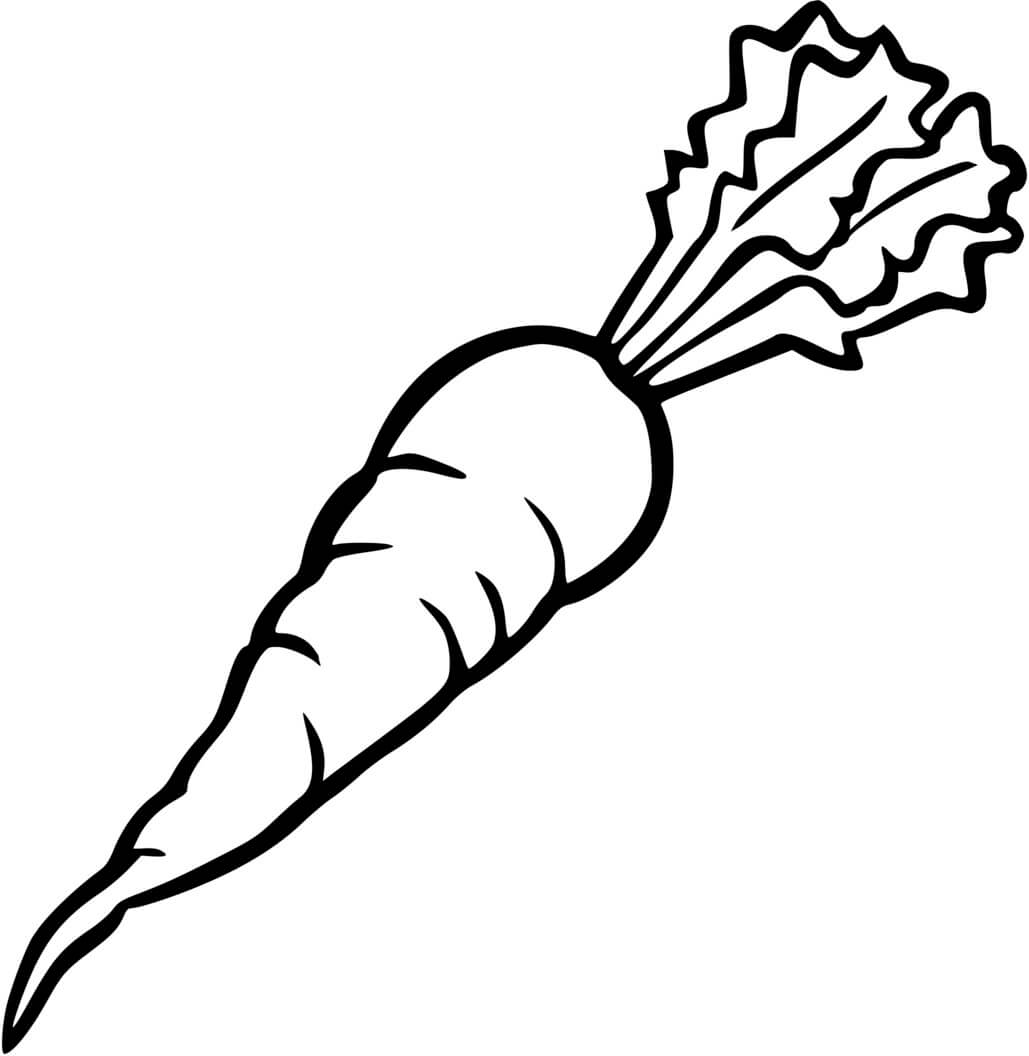 Coloriage Carotte Un Puissant Antioxydant - Carotte à imprimer