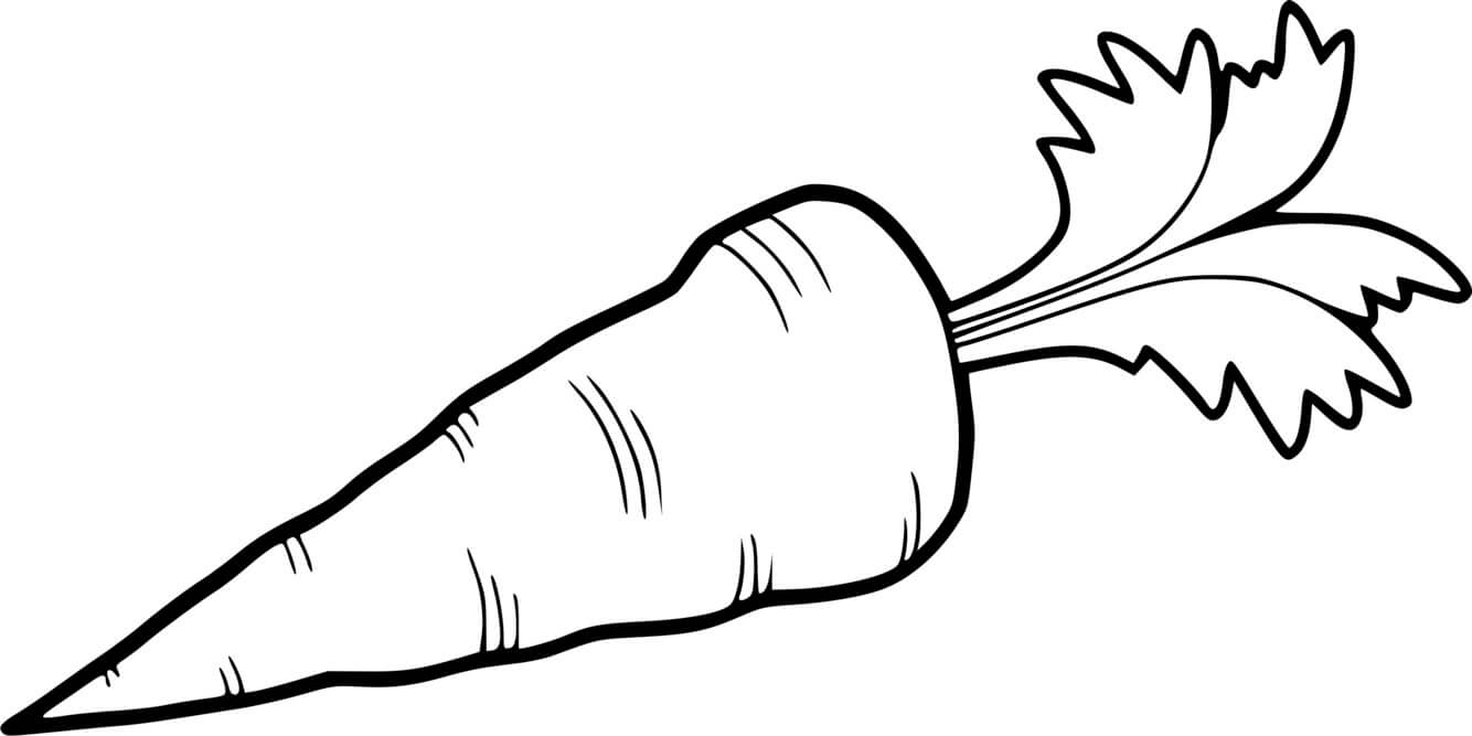 Coloriage Carotte