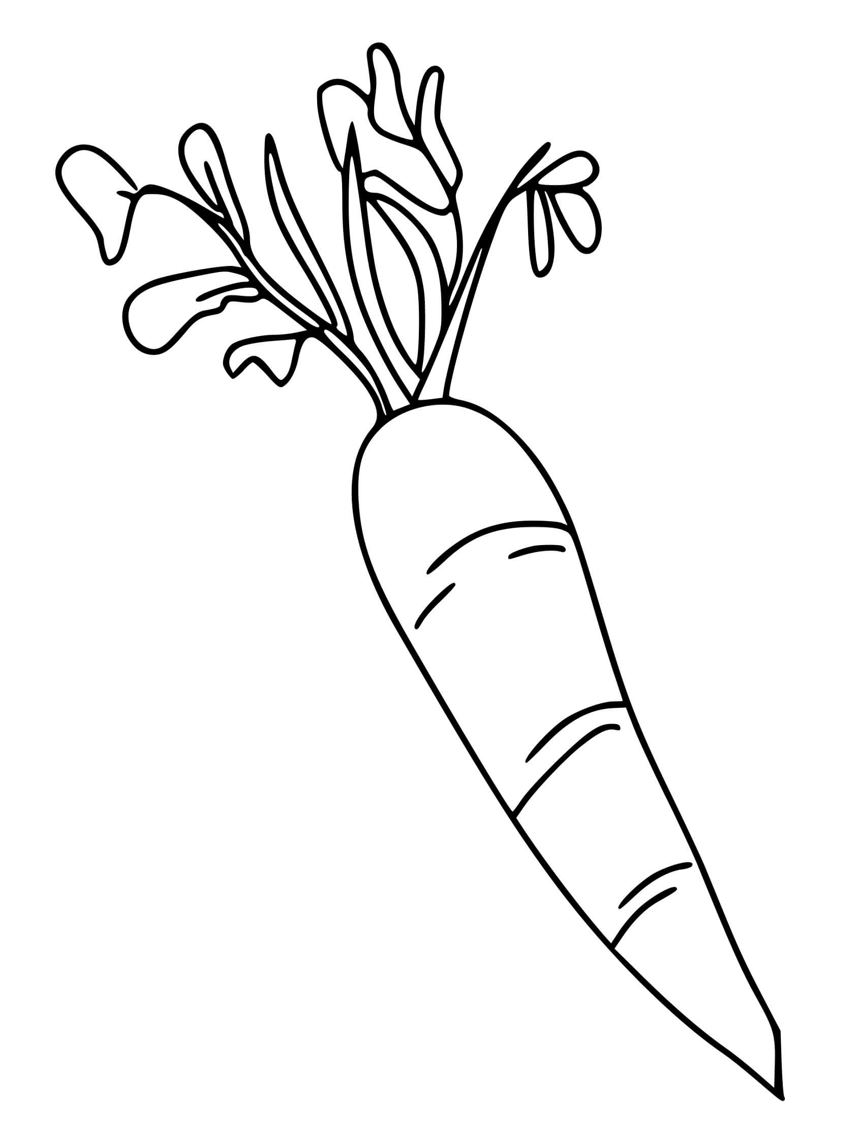 Coloriage Carrotte - Maternelle à imprimer