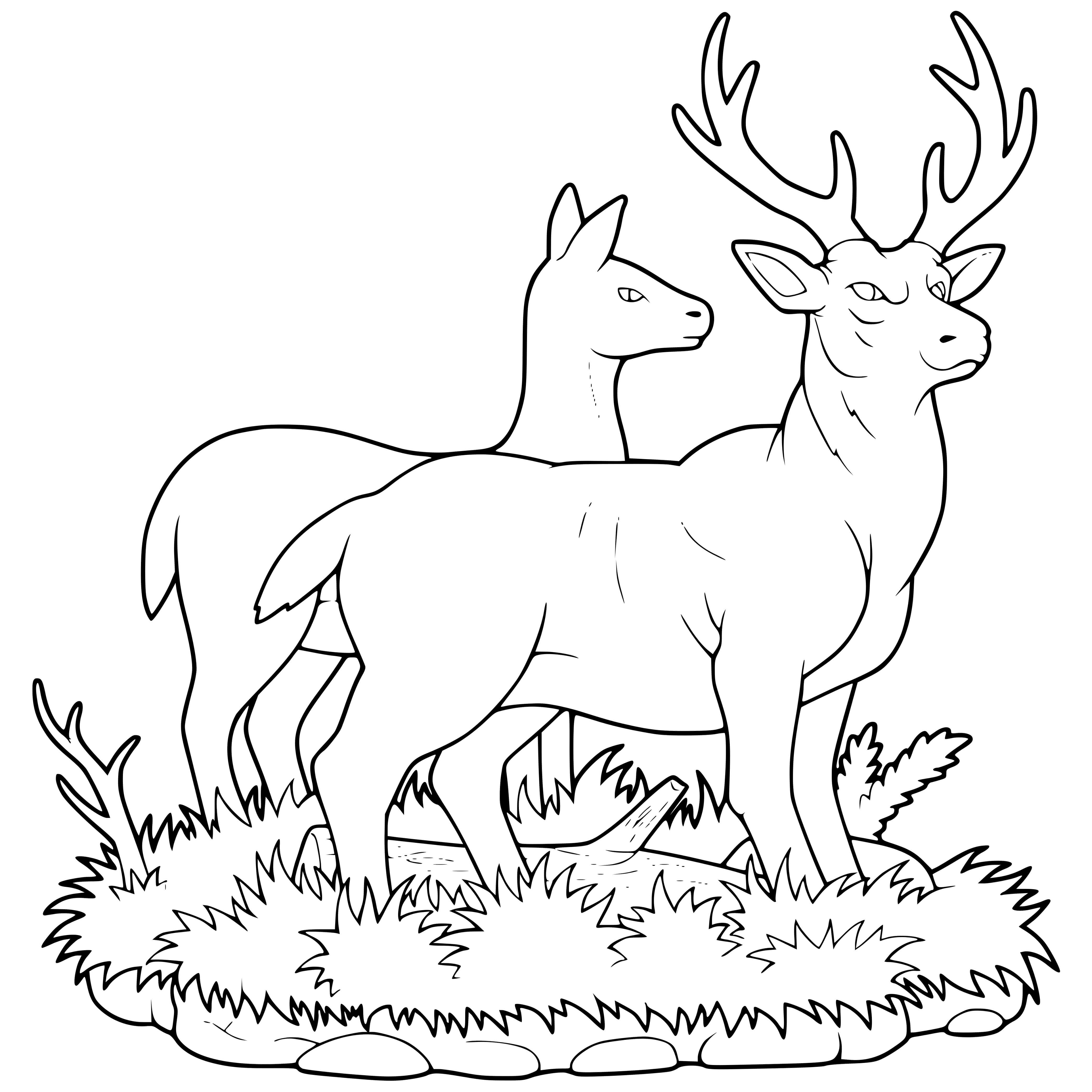 Coloriage Cerf Et Biche En Forêt - Cerf biche faon à imprimer