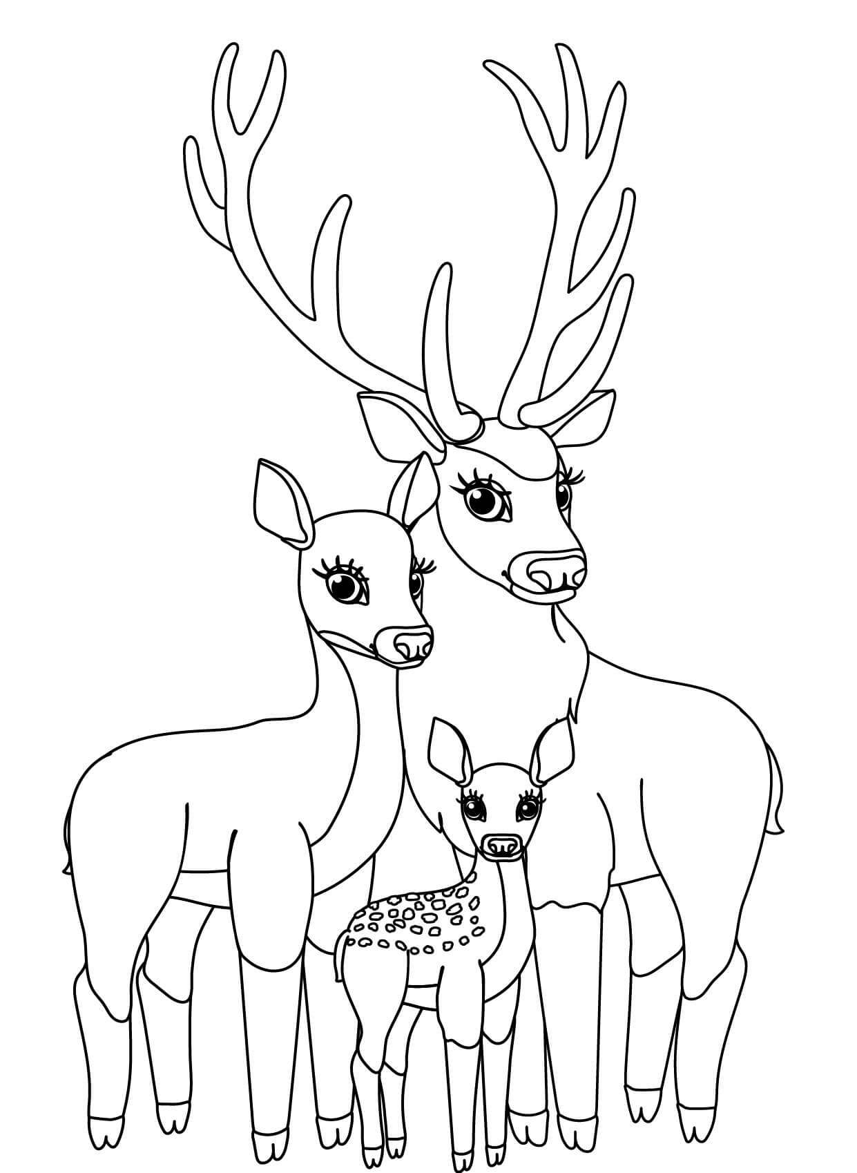 Coloriage Cerf Et Sa Famille Biche Faon - Cerf biche faon à imprimer