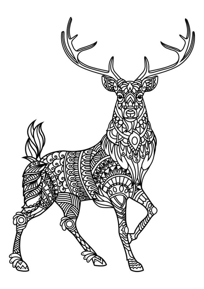 Coloriage Cerf Faon Mandala Adulte - Cerf biche faon à imprimer