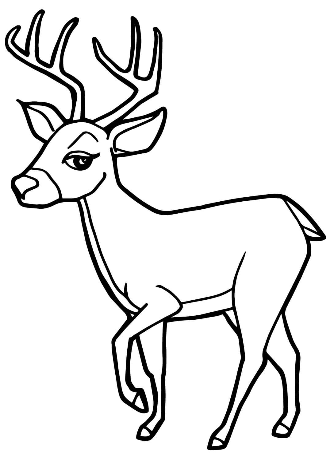 Coloriage Cerf Mignon Kawaii - Cerf biche faon à imprimer