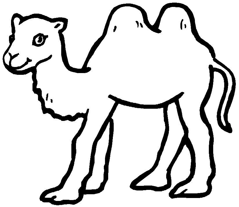 Coloriage Chameau A Colorier - Animaux à imprimer