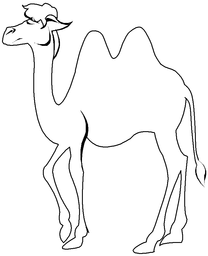 Coloriage Chameau De Profil - Animaux à imprimer