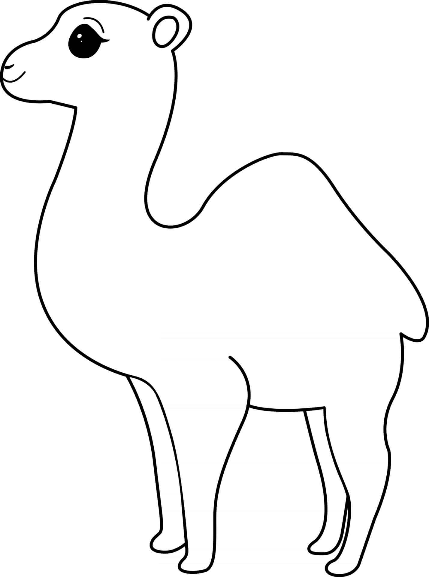 Coloriage Chameau - Animal à imprimer