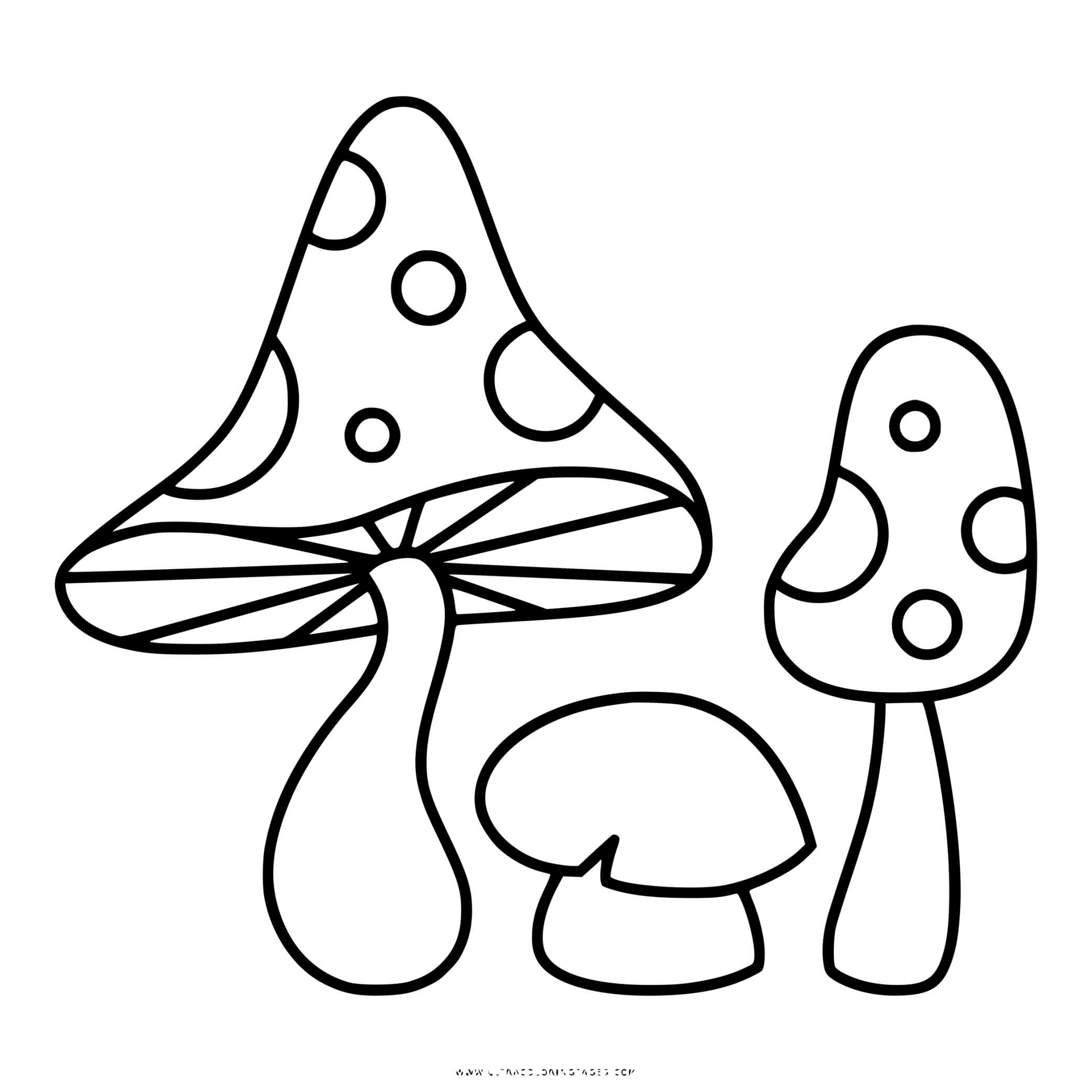 Coloriage Champignon Amanite Jonquille Et Phalloide - Champignon à imprimer