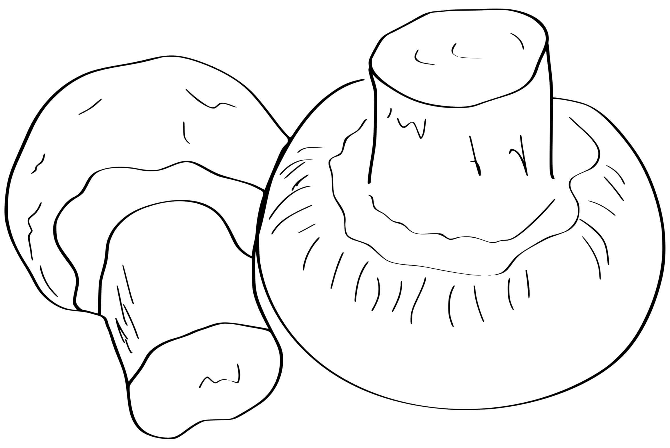 Coloriage Champignon Réaliste - Champignon à imprimer