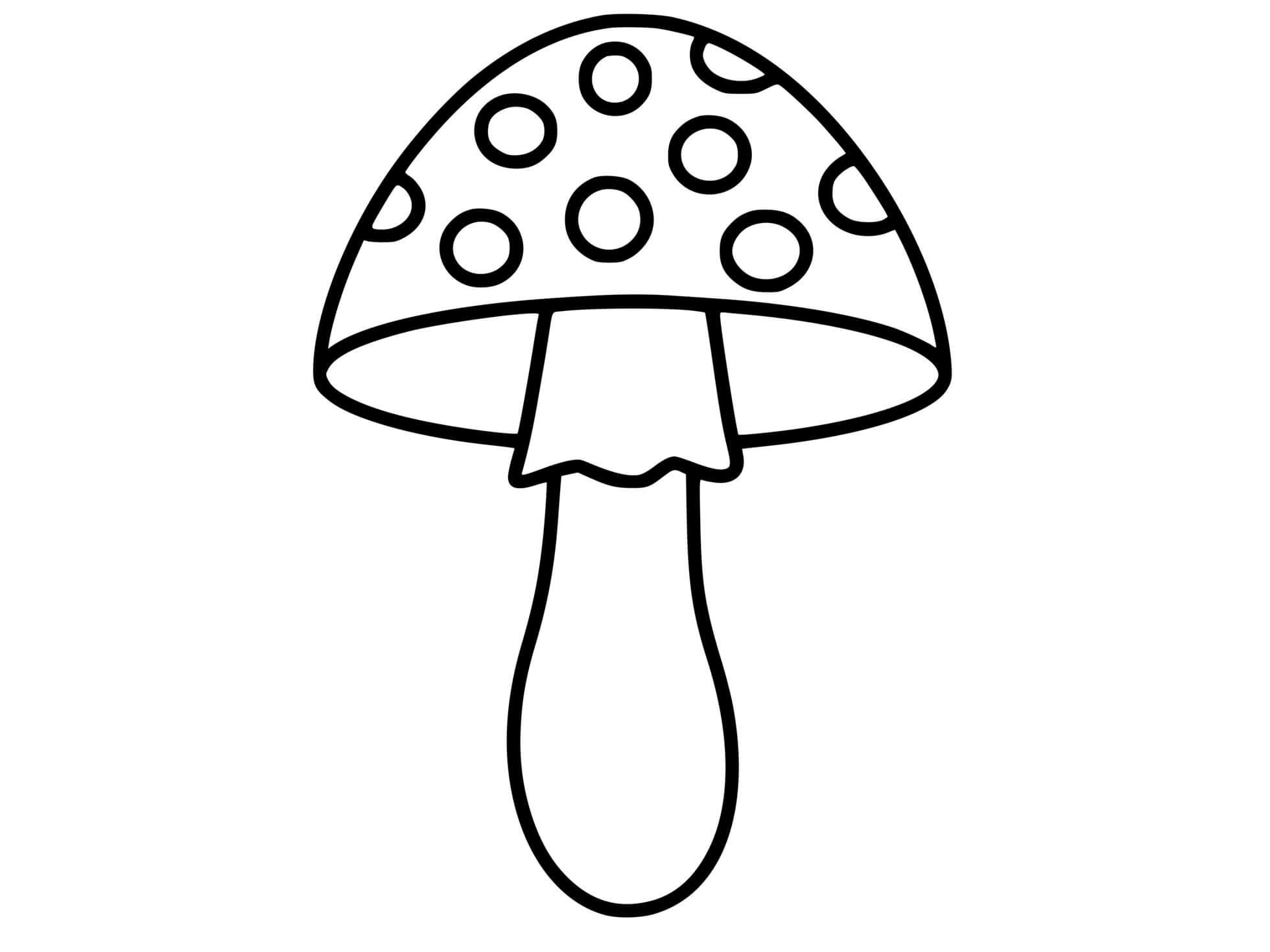 Coloriage Champignon Volvaire Gluante - Champignon à imprimer