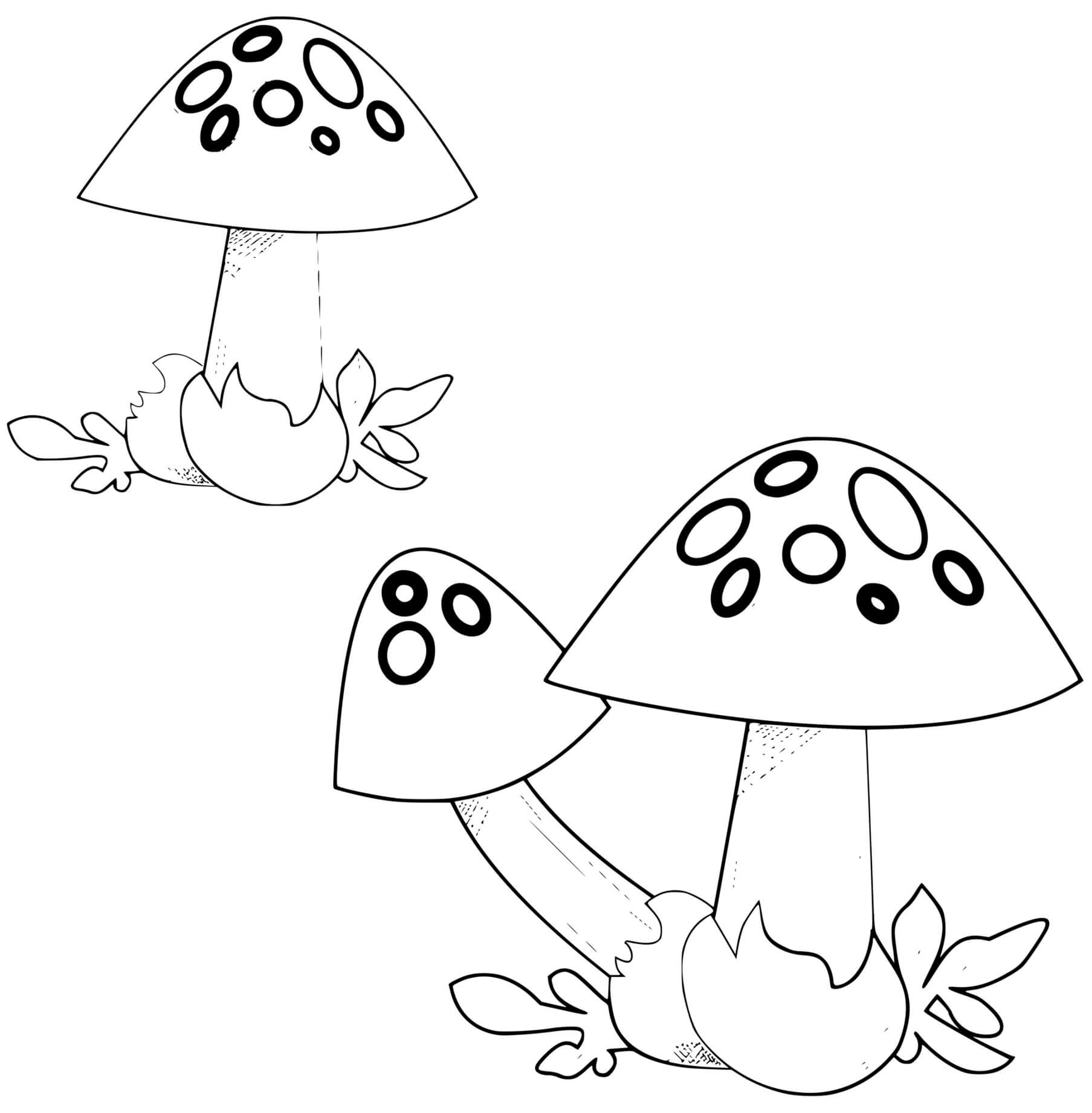 Coloriage Champignon Volvaire - Champignon à imprimer