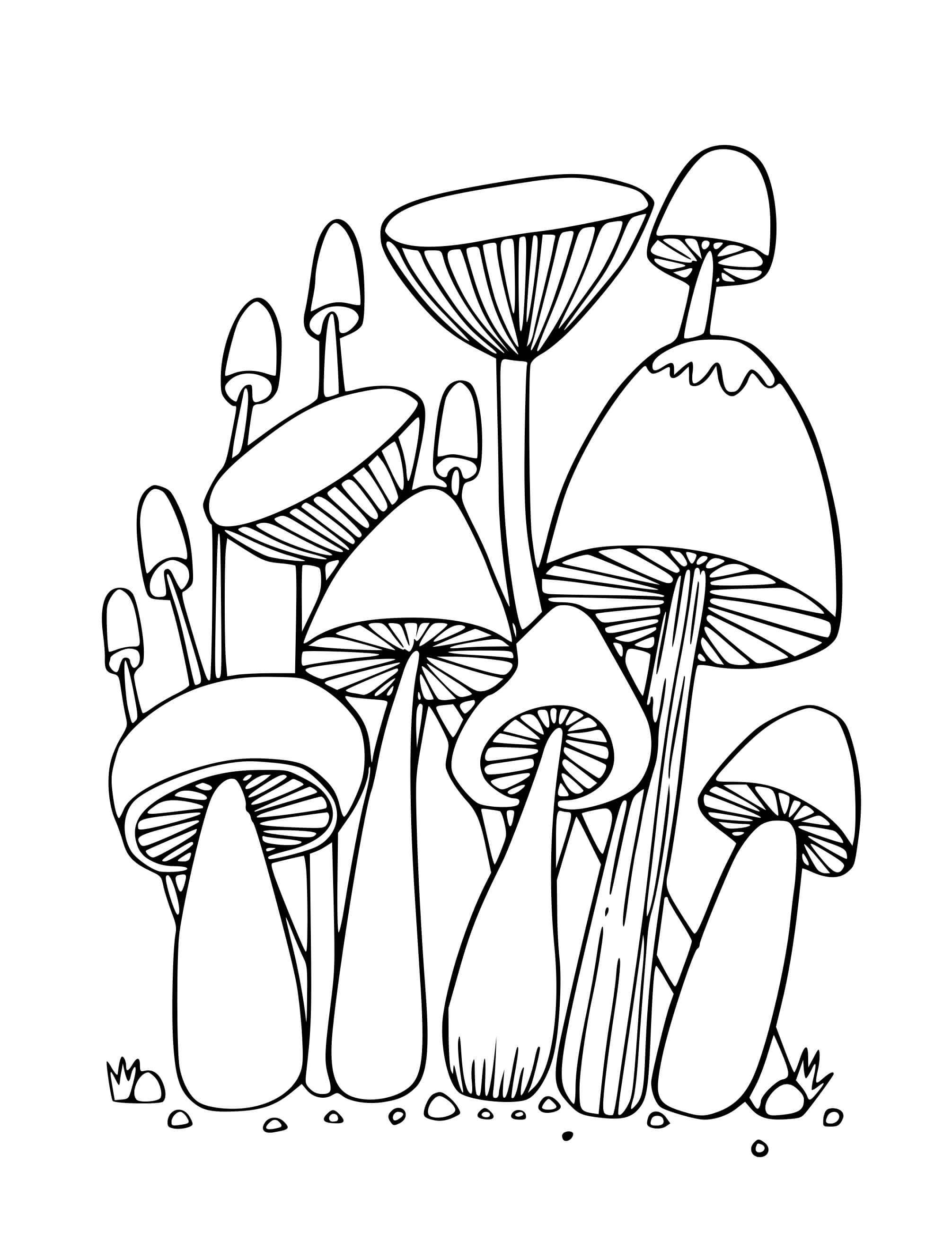 Coloriage Champignons De La Forêt - Champignon à imprimer