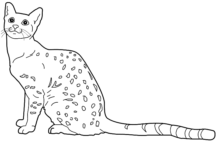 Coloriage Chat Mau Egyptien - Chat à imprimer
