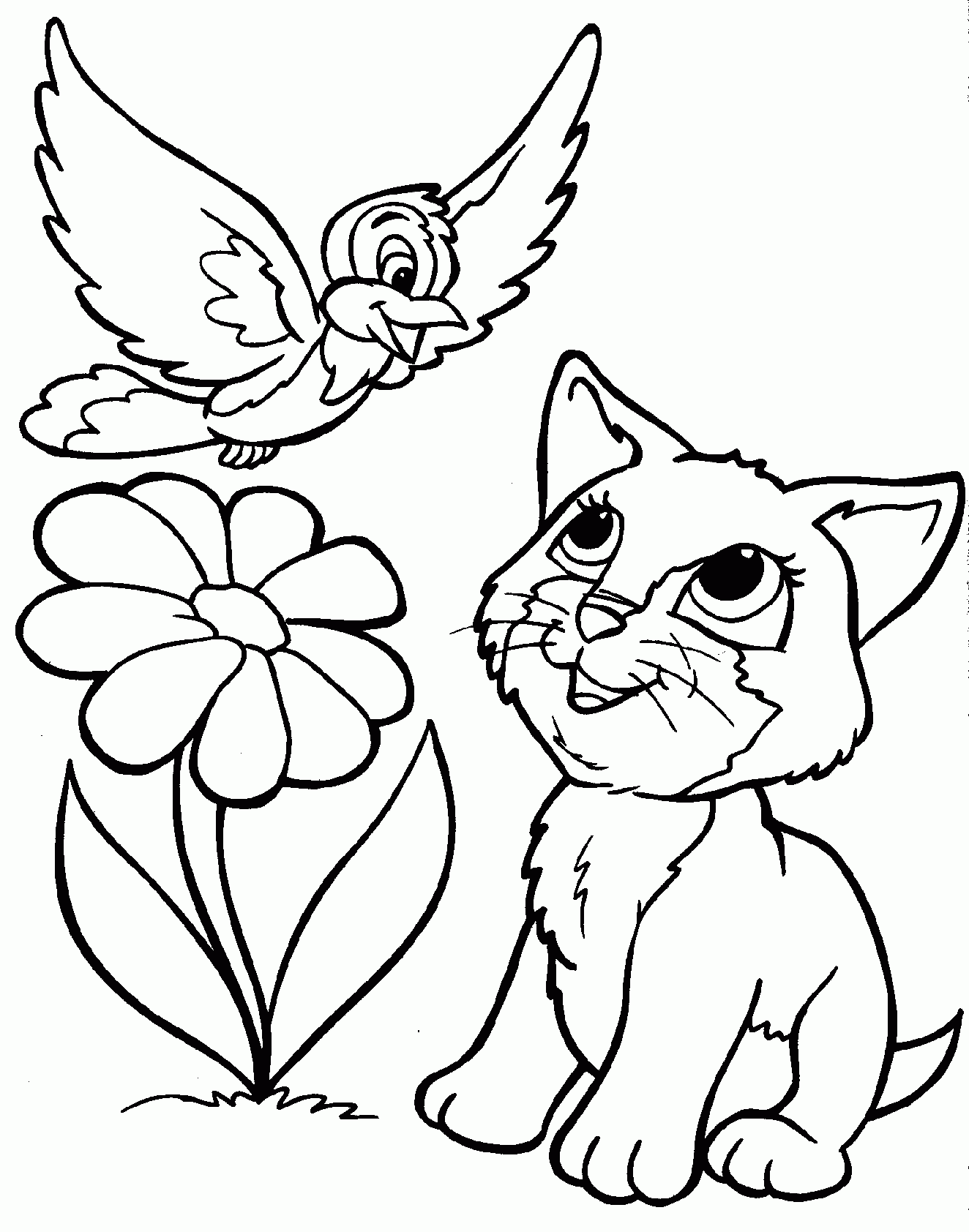 Coloriage Chat Ami Avec Un Oiseau - Chat à imprimer