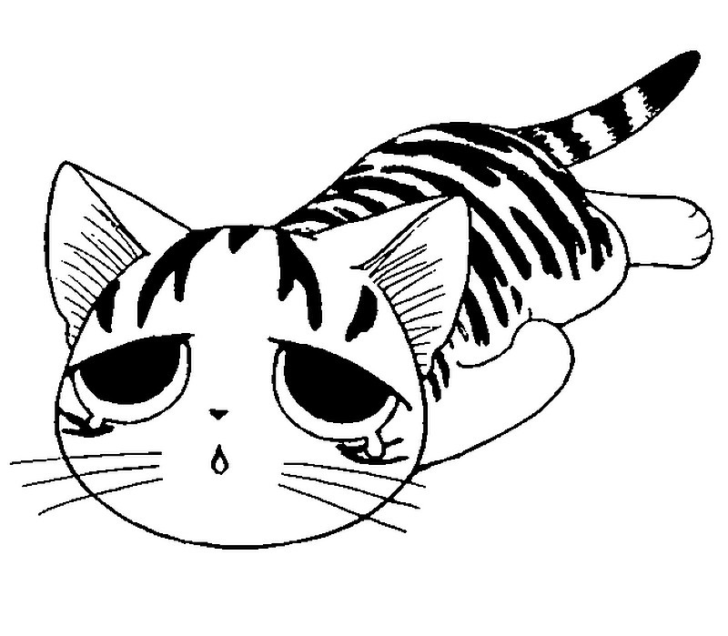 Coloriage Chat Chi Est Triste Et Fatigue - Chat à imprimer