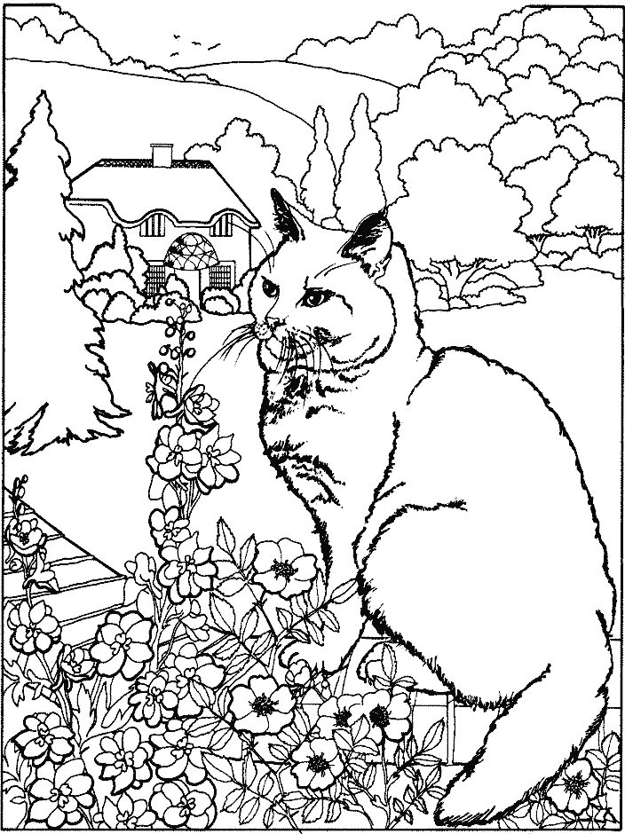Coloriage Chat Et Des Fleurs - Chat à imprimer