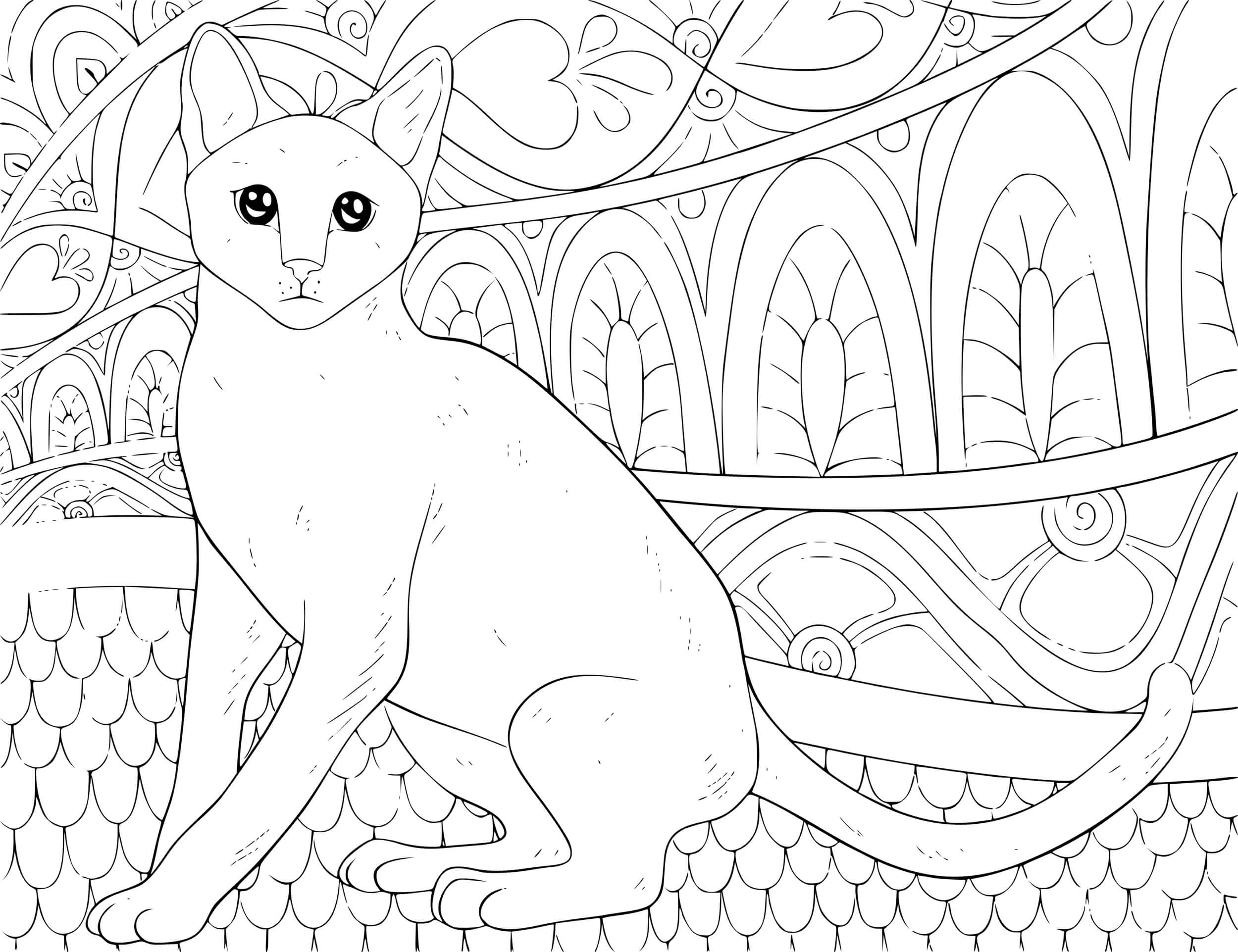 Coloriage Chat Pour Adulte Antistress - Chat à imprimer