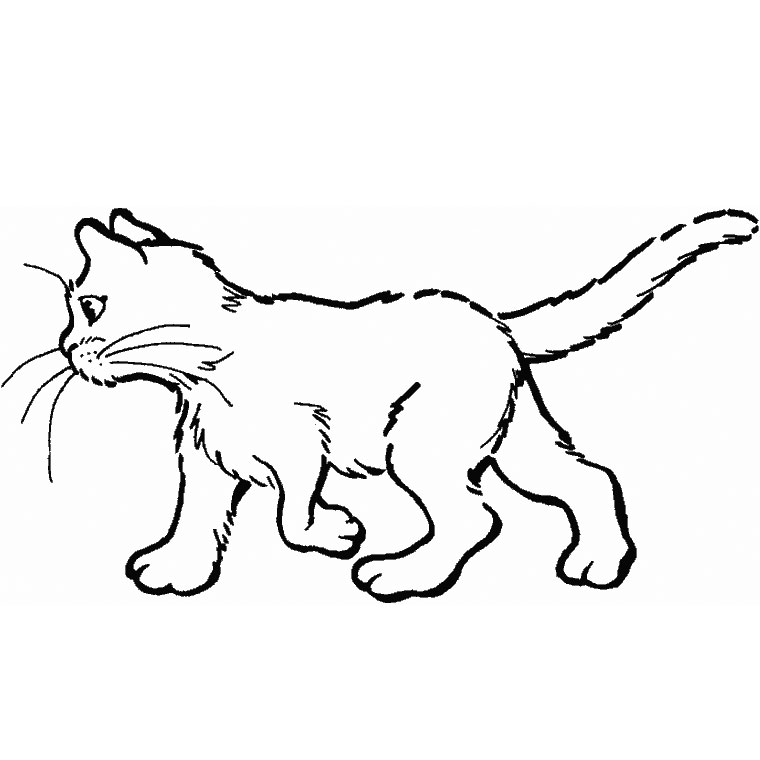 Coloriage Chat - Chat à imprimer
