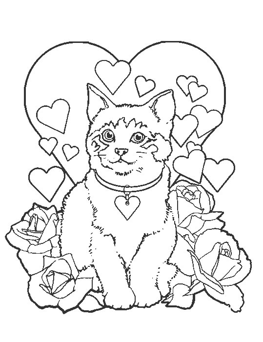 Coloriage Chaton Siamois - Chat à imprimer