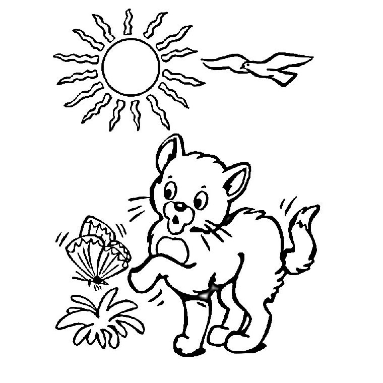 Coloriage Chaton - Chat à imprimer